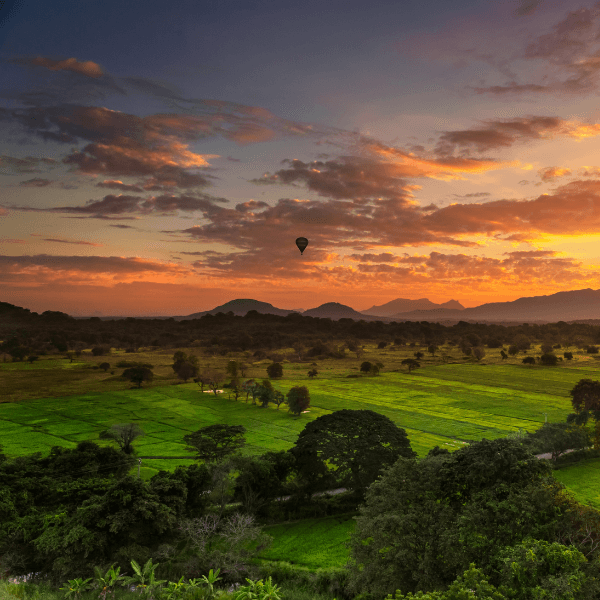 sri lanka natureza exuberante